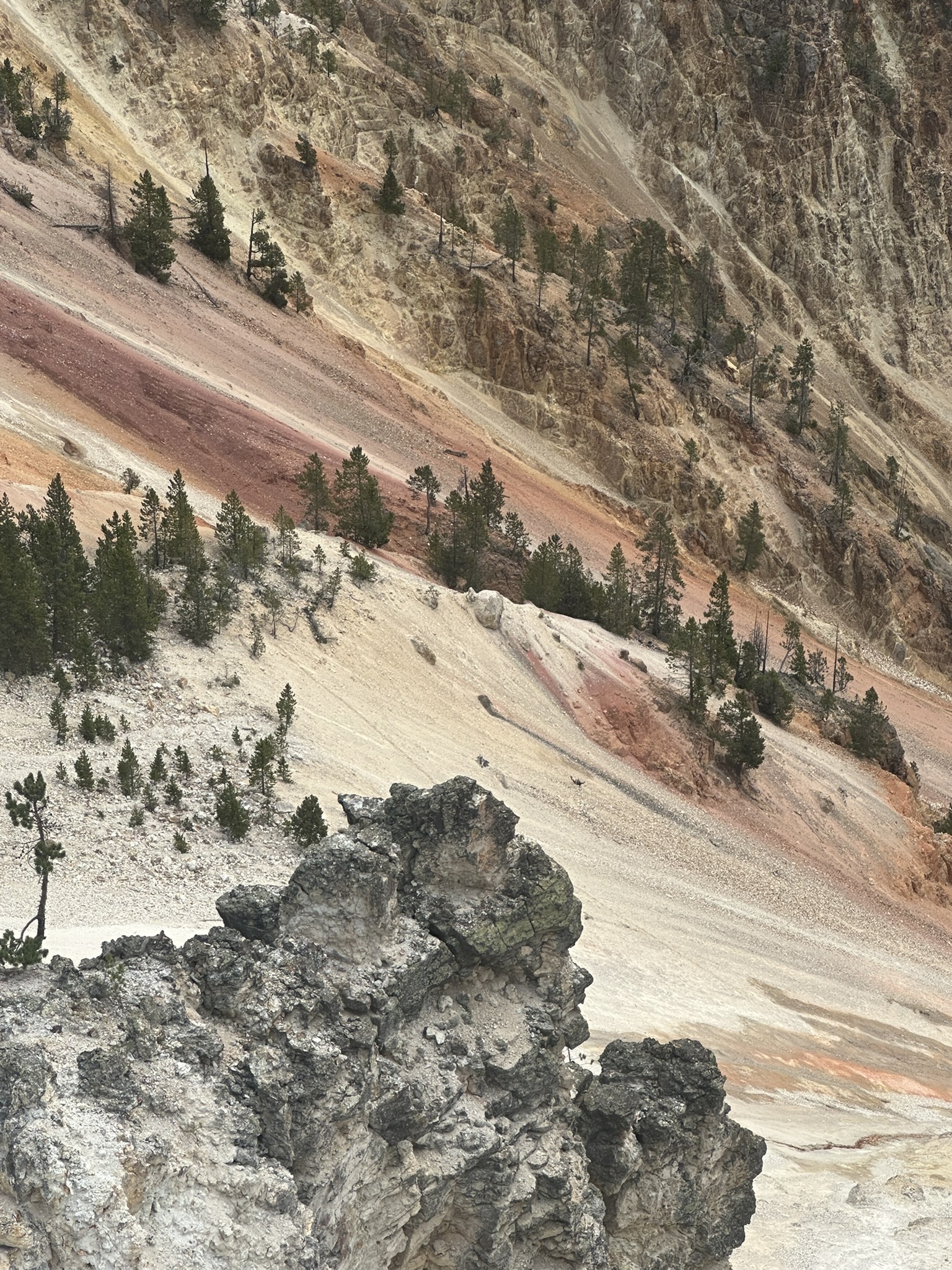 Yellowstone And Grand Teton National Parks - Image 644